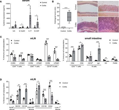 Lymph Node Stromal Cells From Different Draining Areas Distinctly Regulate the Development of Chronic Intestinal Inflammation